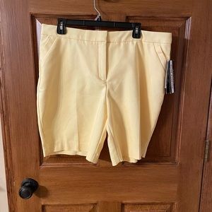 Investment City Shorts